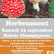 baladechampignons230917.jpg