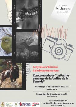 concoursphoto2020light.jpg