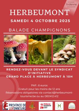 Balade champignons.jpg