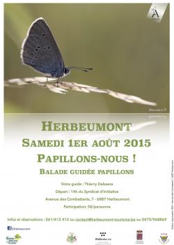 Balade papillons 2015.jpg