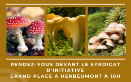 affichechamignons2023.png