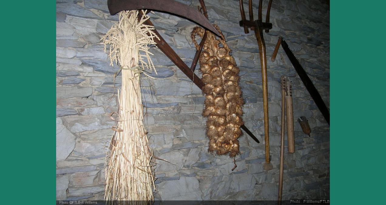 si_7ddf643cab7fd37d94907b03e421c4bd.img