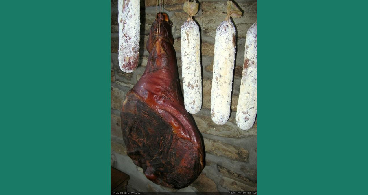 si_dcb7f557bb82d28483a4f730fc45f424.img