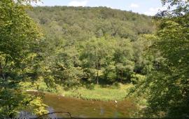 si_4b246c9ee9c15c3c11776576fa27177c.img