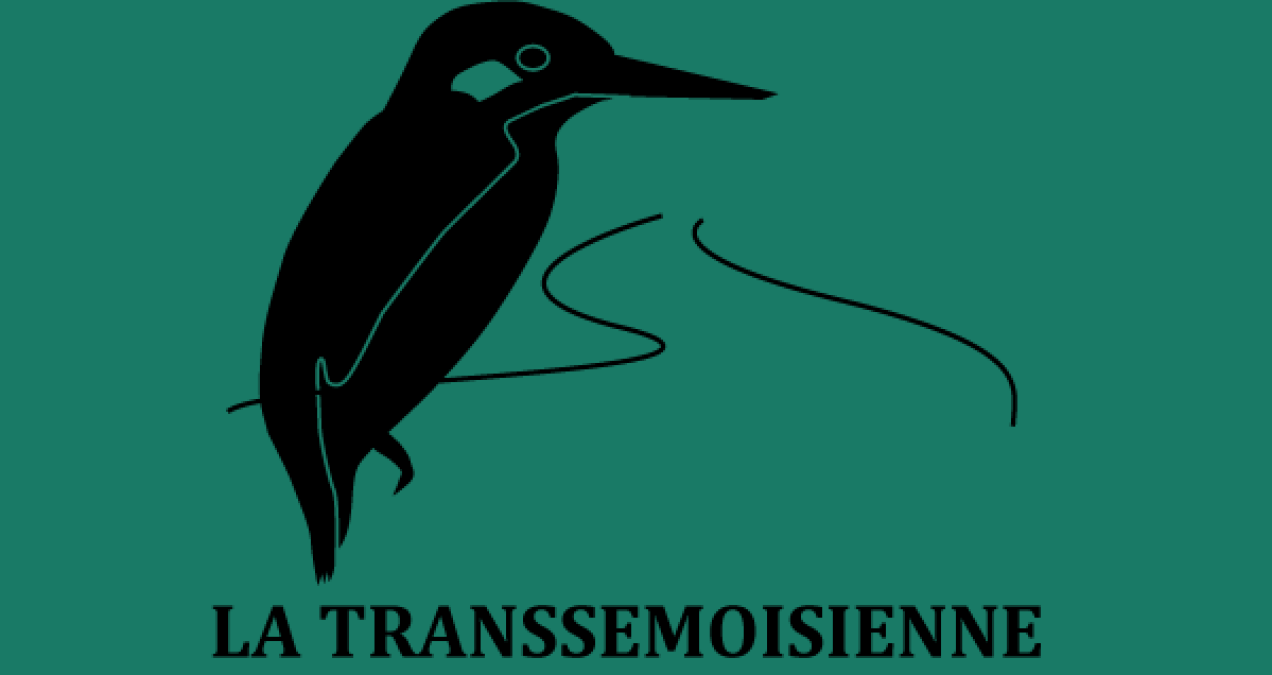 si_ca0c8addf60e6f83d86dff9912722772.img