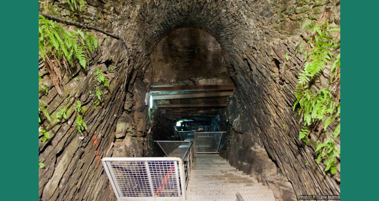 si_e0c1f1aa575f0a8a97f5c95989254831.img