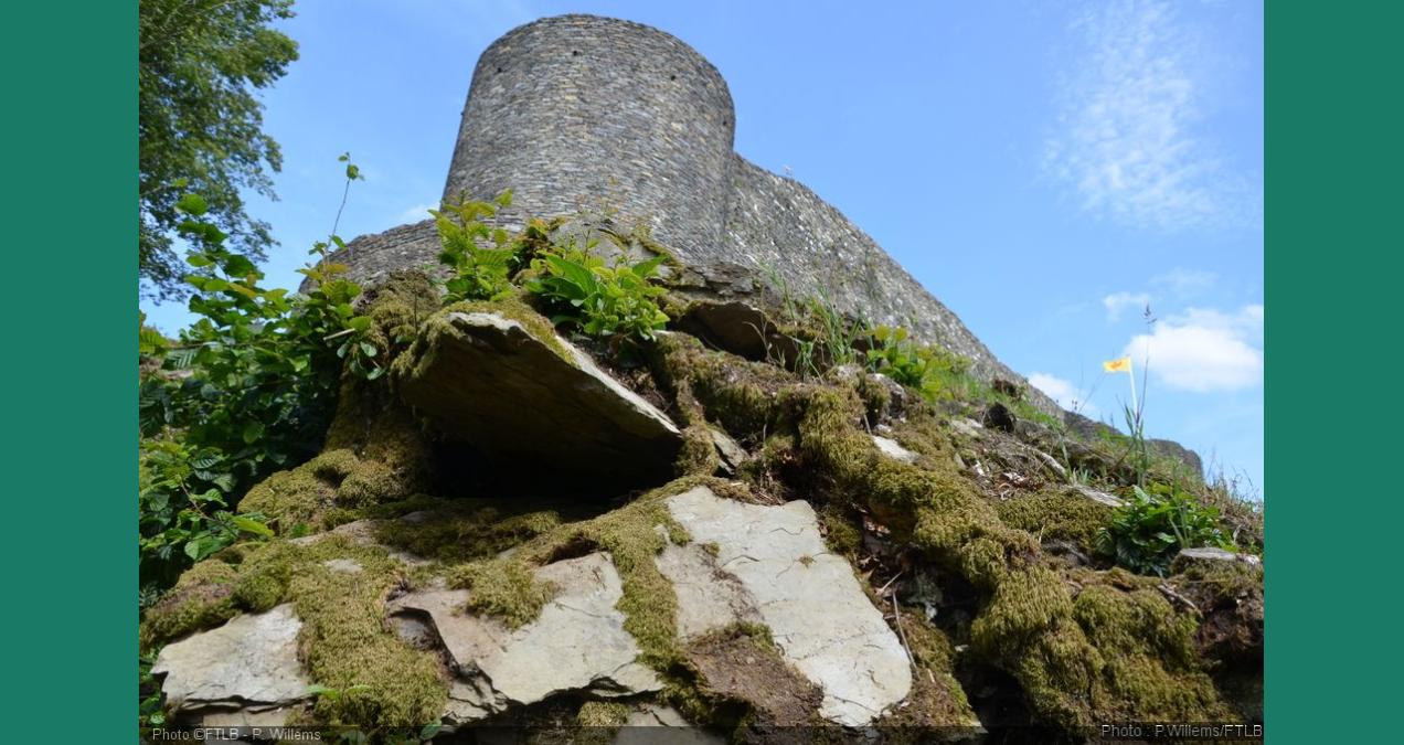 si_b35d5e727aa986623b8e94151f99fb62.img