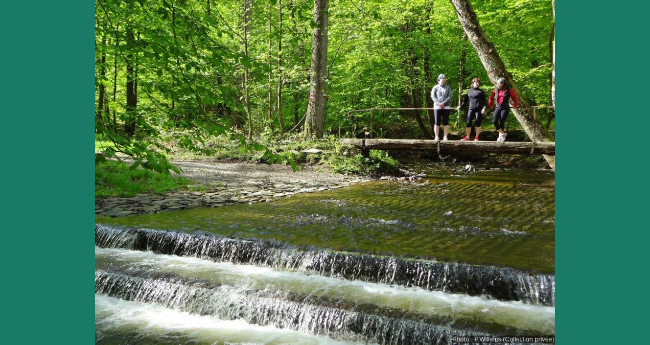 si_f57ec4171440846e071de44abeb990bb.img