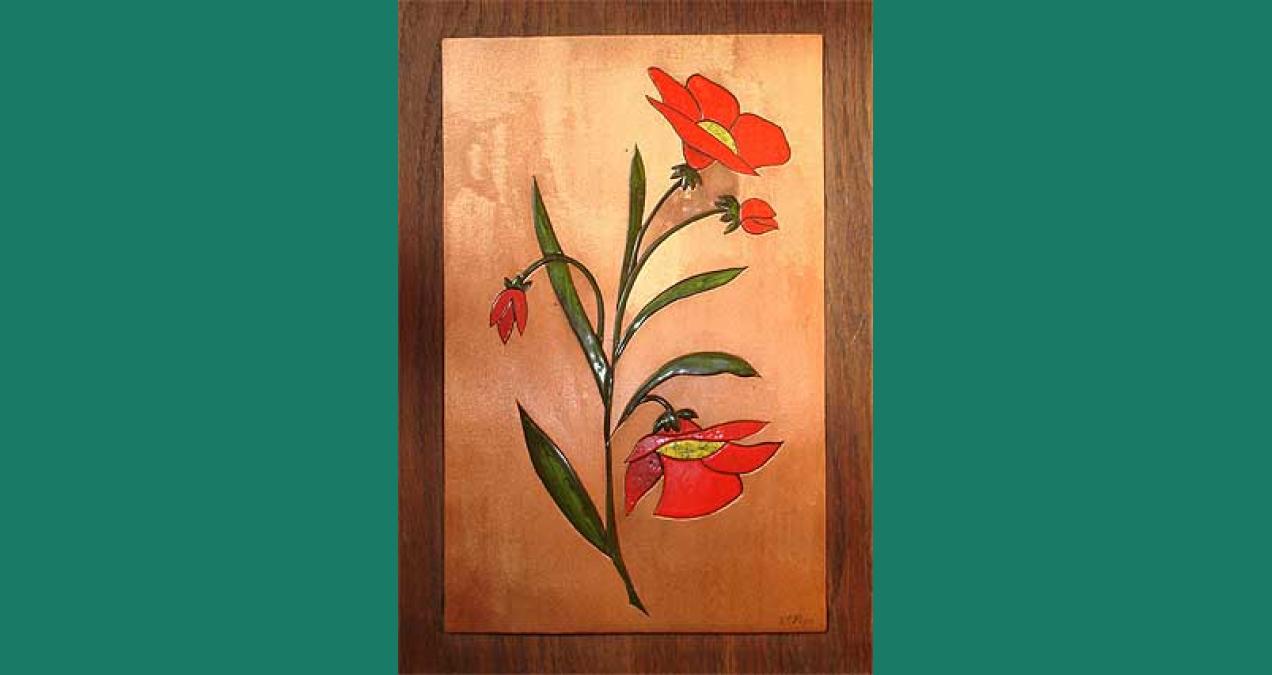 si_28f2956b42a9a06cec2747487337d66b.img