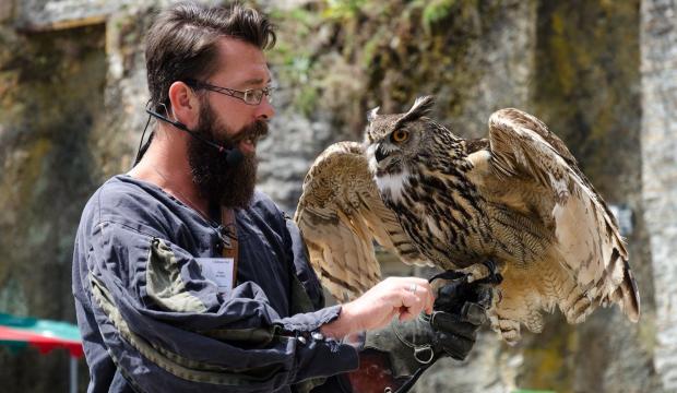 si_780f93ce5736e547dcd1ac10af1aef85.img