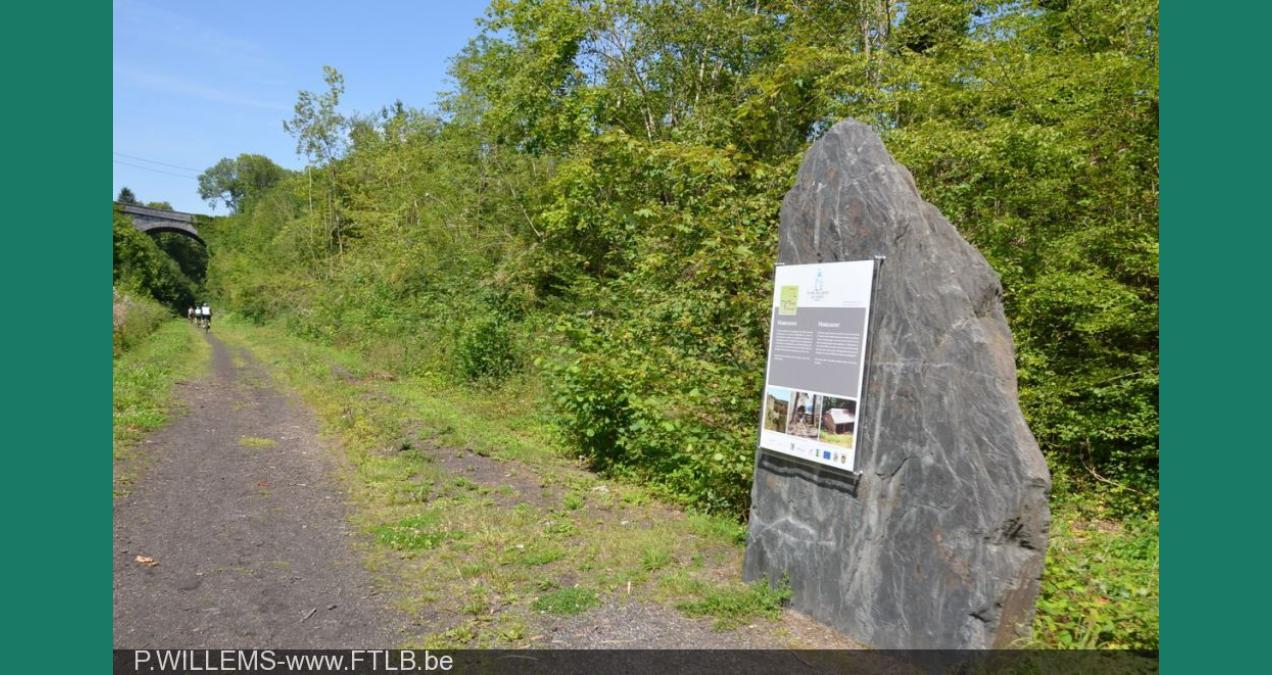 si_113681913298c54e48ae1ee459a81347.img