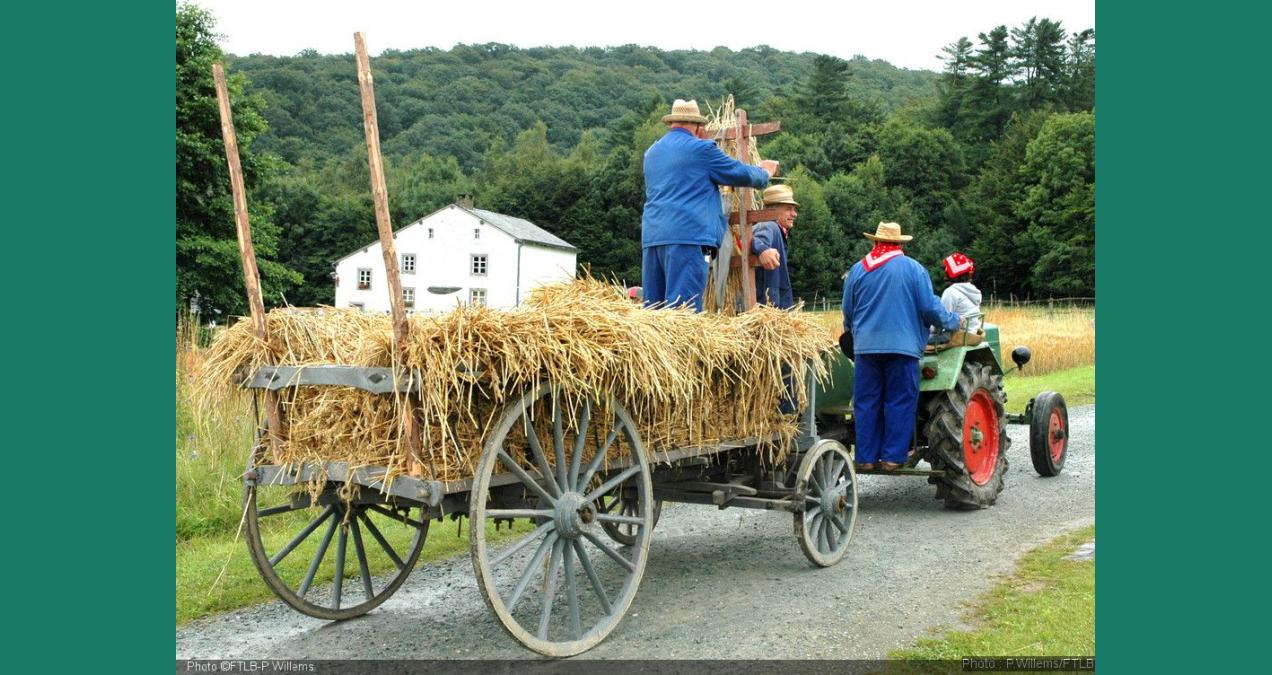 si_38b9588942f1ae24e110adea5cdebf2d.img