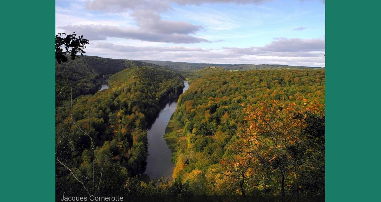 si_27e7d3b3b2916a6ca60839b42b3a5a55.img