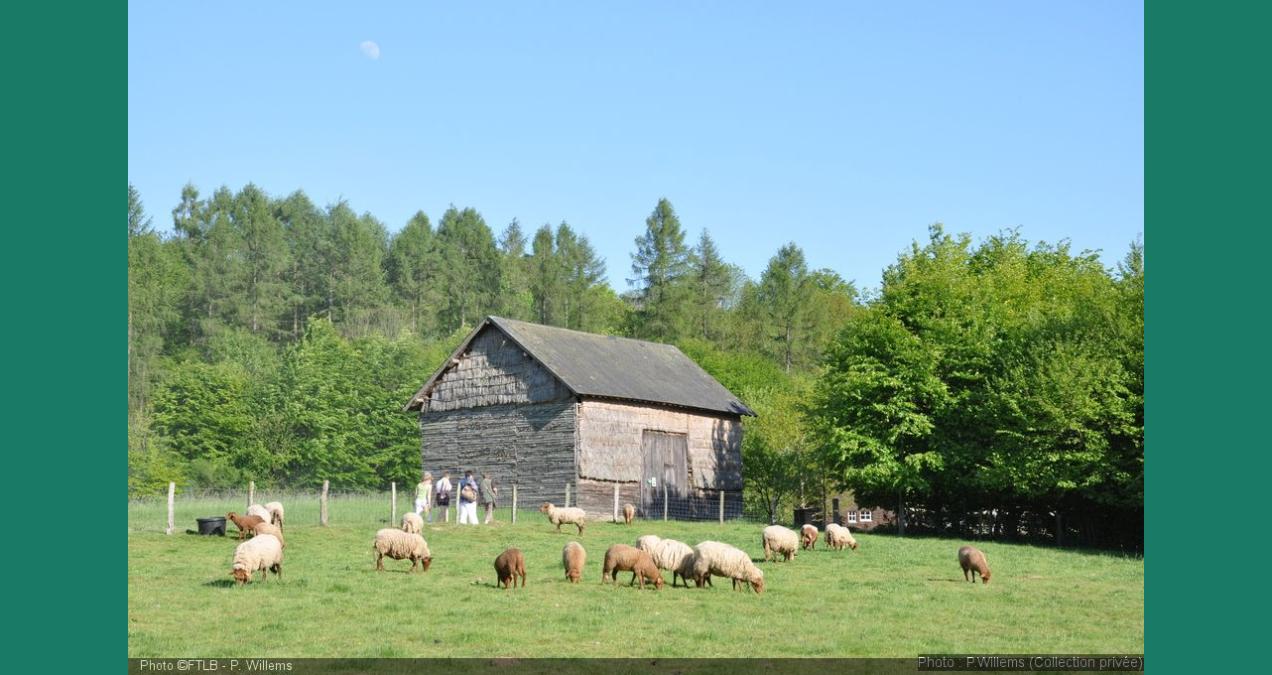 si_fdf5bbd7fb1980f1e464b115c6ec9961.img