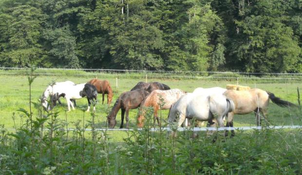 si_b63bb231f78ab5b6e3783265e8a8ccd9.img