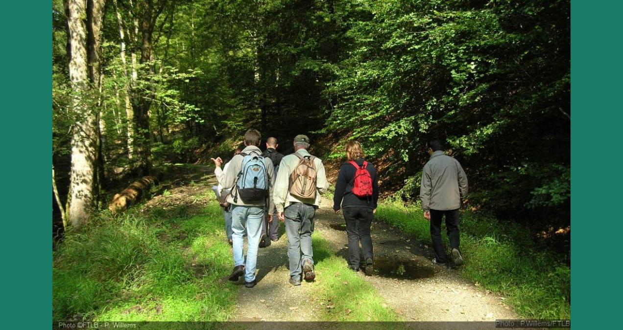 si_7a3ca6611b0f834287caa8e5077b3a27.img