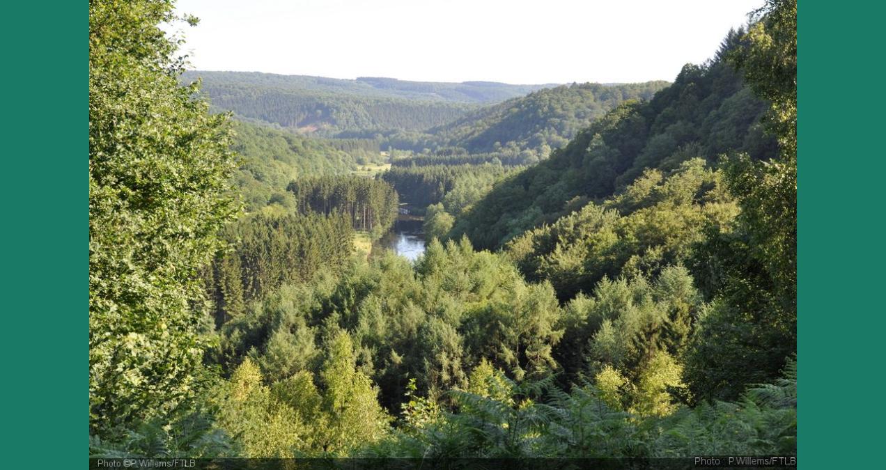 si_3f71b56868cd68ffdb9b3168bc89e689.img