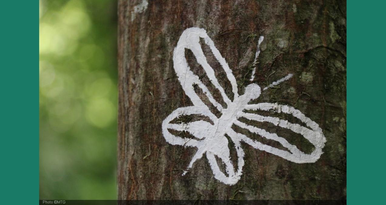 si_de2ed943cc570ee48b65102dc6589e18.img