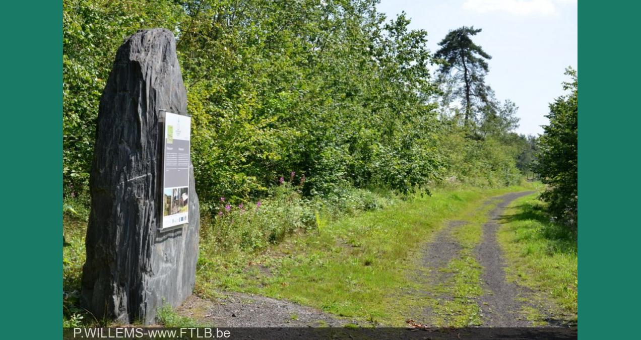 si_f3b1efee623d54f6daf485c97b0c2ddc.img