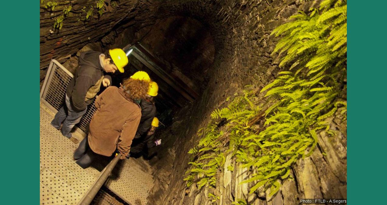 si_dba972718d5876d1faf8664b66fa12c2.img