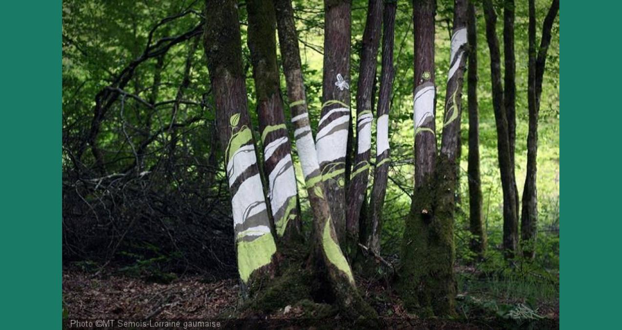 si_3869bc046c9812470ea3b9633fc317c4.img