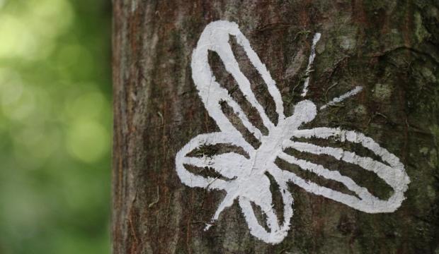 si_de2ed943cc570ee48b65102dc6589e18.img