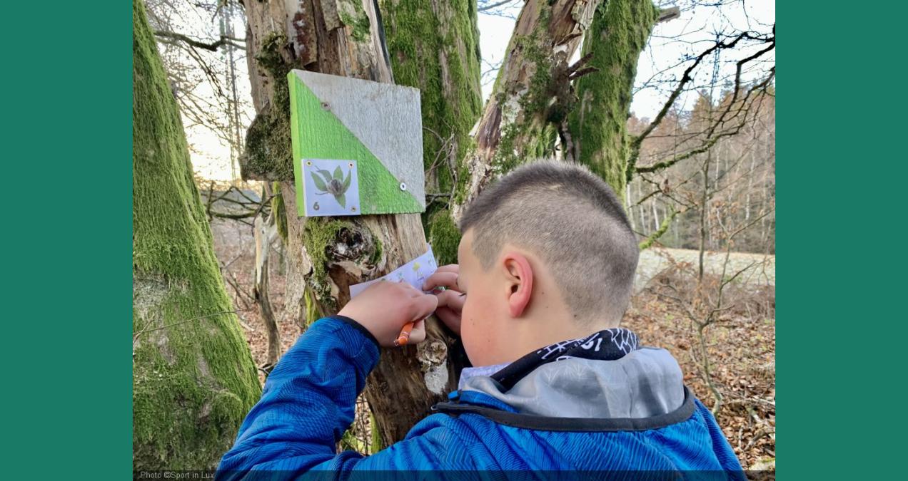 si_9fda31a16baa3a2fed5c52463d66902f.img