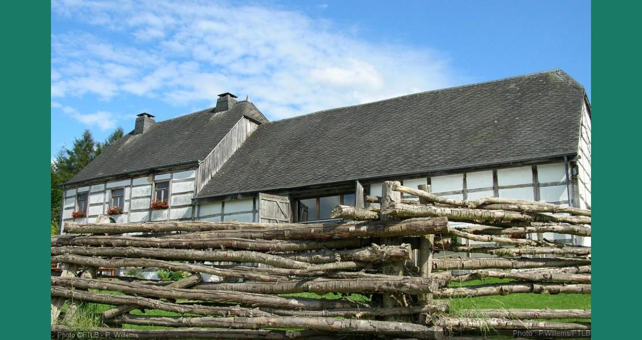 si_fdb40d8face8f3730e09cbf2c0324c6e.img